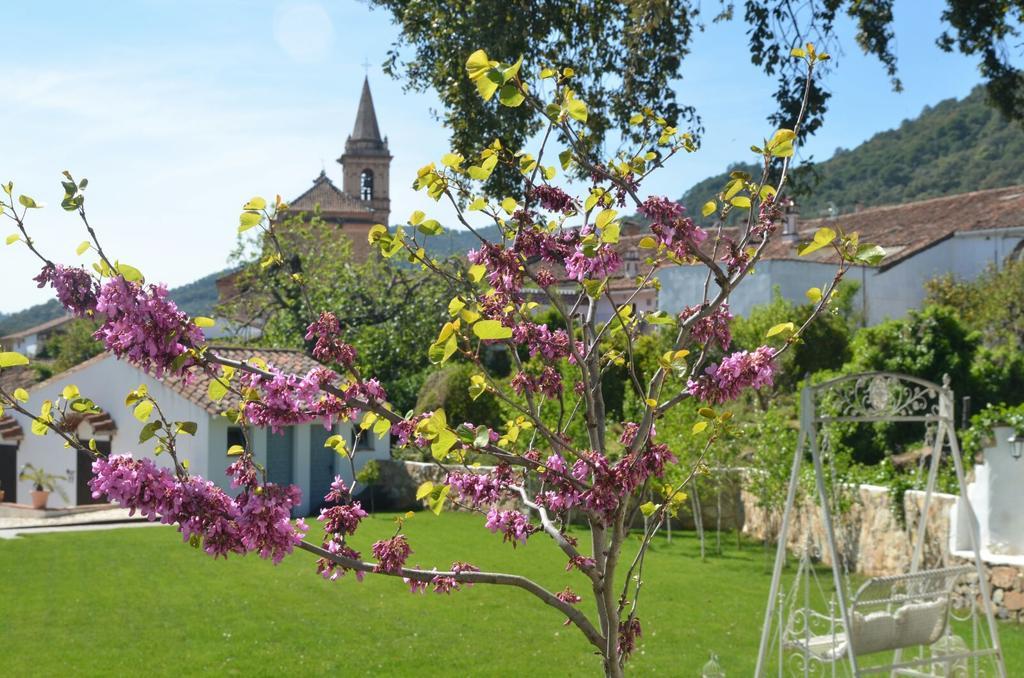 Maison d'hôtes Casona Del Duende à Alájar Extérieur photo